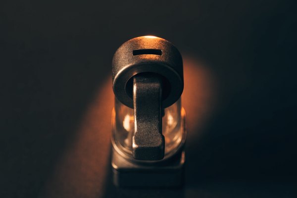 An industrial toggle switch