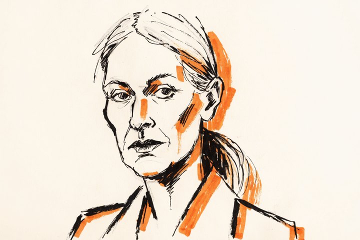 Hand-drawn orange and black ink portrait of A. Lindqvist